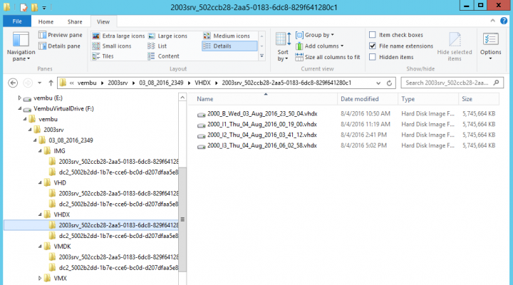 Vembu Virtual Drive can expose the same backup as VMDK, VHD, VHDX or IMG