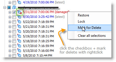 Vmware Data Recovery Damaged restore point