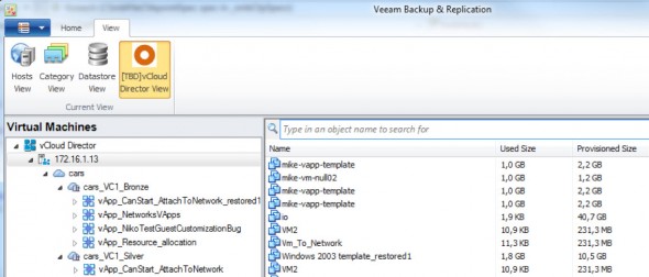vCloud Director Backup and Recovery Support