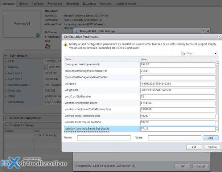 Host guest File System