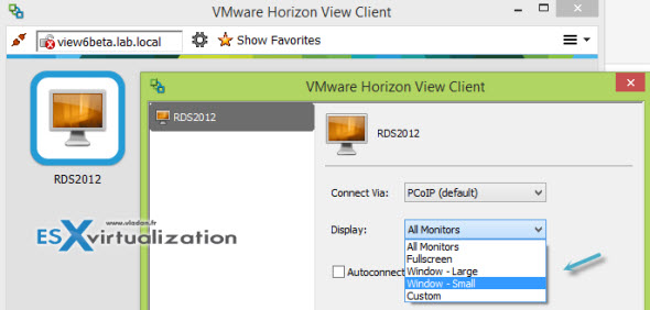 Horizon View 6 - connection options window