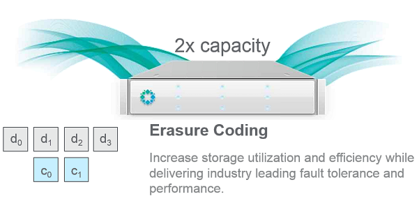 Rubric Data Protection - Erasure coding