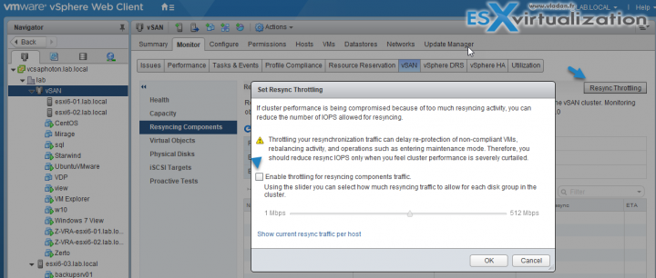 VMware Resync Throttling