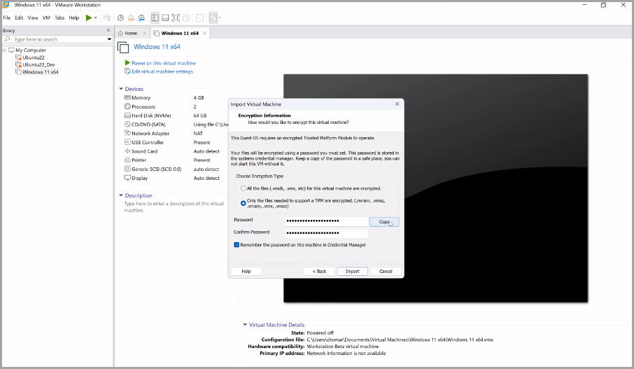 Tiny 11 - a lightweight Windows 11 needing only 12Gb disk and running on  4Gb of RAM - ESX Virtualization