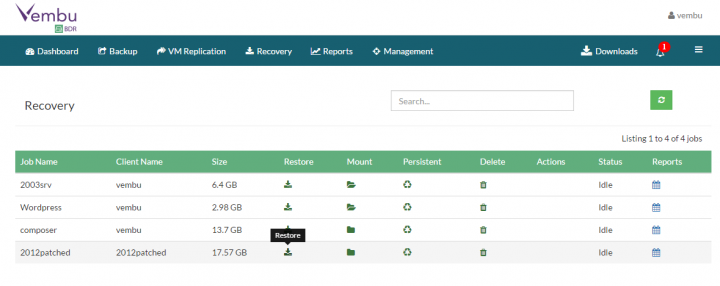 Vembu ImageBackup - Restore Options