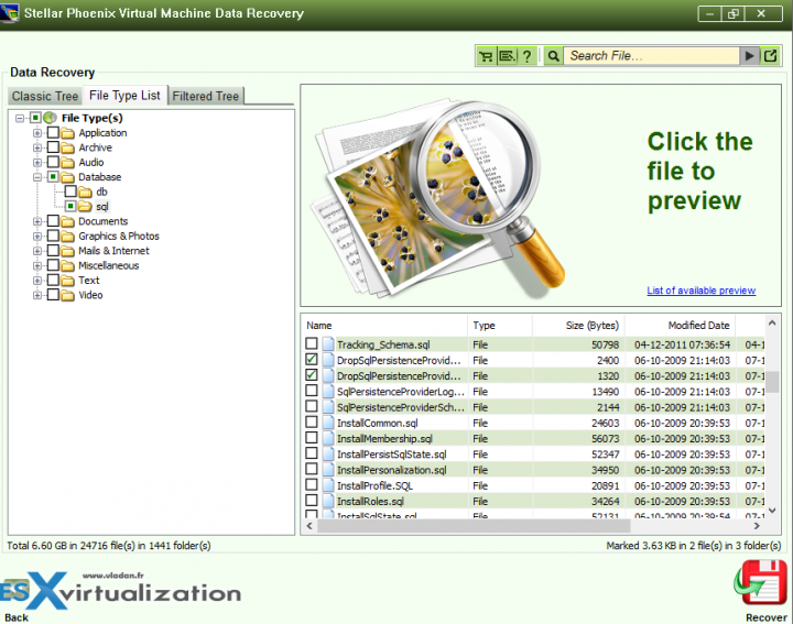 Virtual machine data recovery - database files