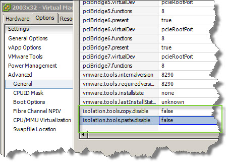 How to enable copy paste for single VM in ESXi 4.1