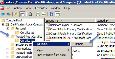 Export certificate to import it into Trusted root certificate store