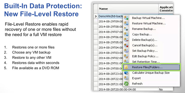 File Level Restore