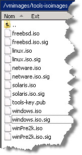 Ensuring the correct VMware Tools ISO image is loaded