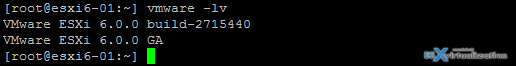 How to check build number and version in VMware ESXi host