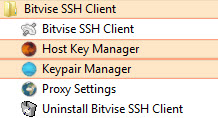 Bitwise SSH Client