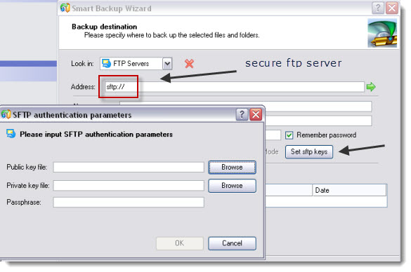 Paragon Hard Disk Manager Suite - can use secure FTP as a backup destination