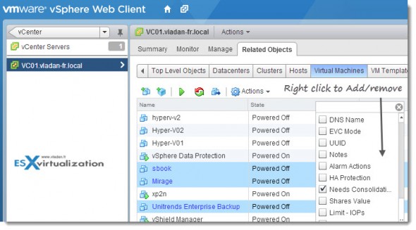 vSphere Web Client - adding colon