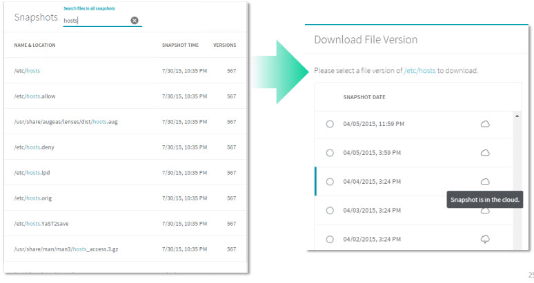 Rubrik Architecture