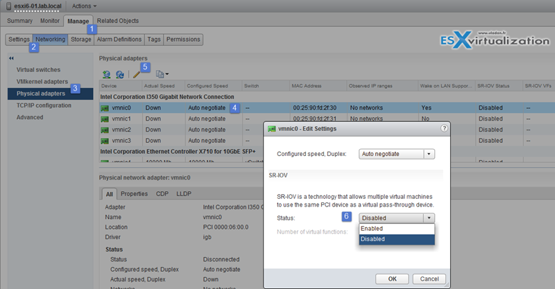 How to enable SRIOV at the host level