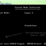 Cisco/Linksys SRW 2008 with the possibility to put it in Layer 3 mode