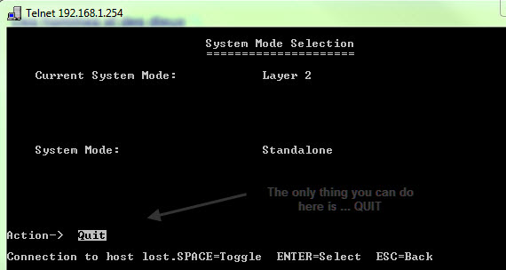 Cisco/Linksys SRW 2008 with the possibility to put it in Layer 3 mode