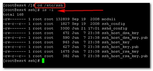 How to activate root access SSH in ESX 4.0 Server