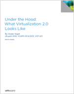 Virtualization 2.0